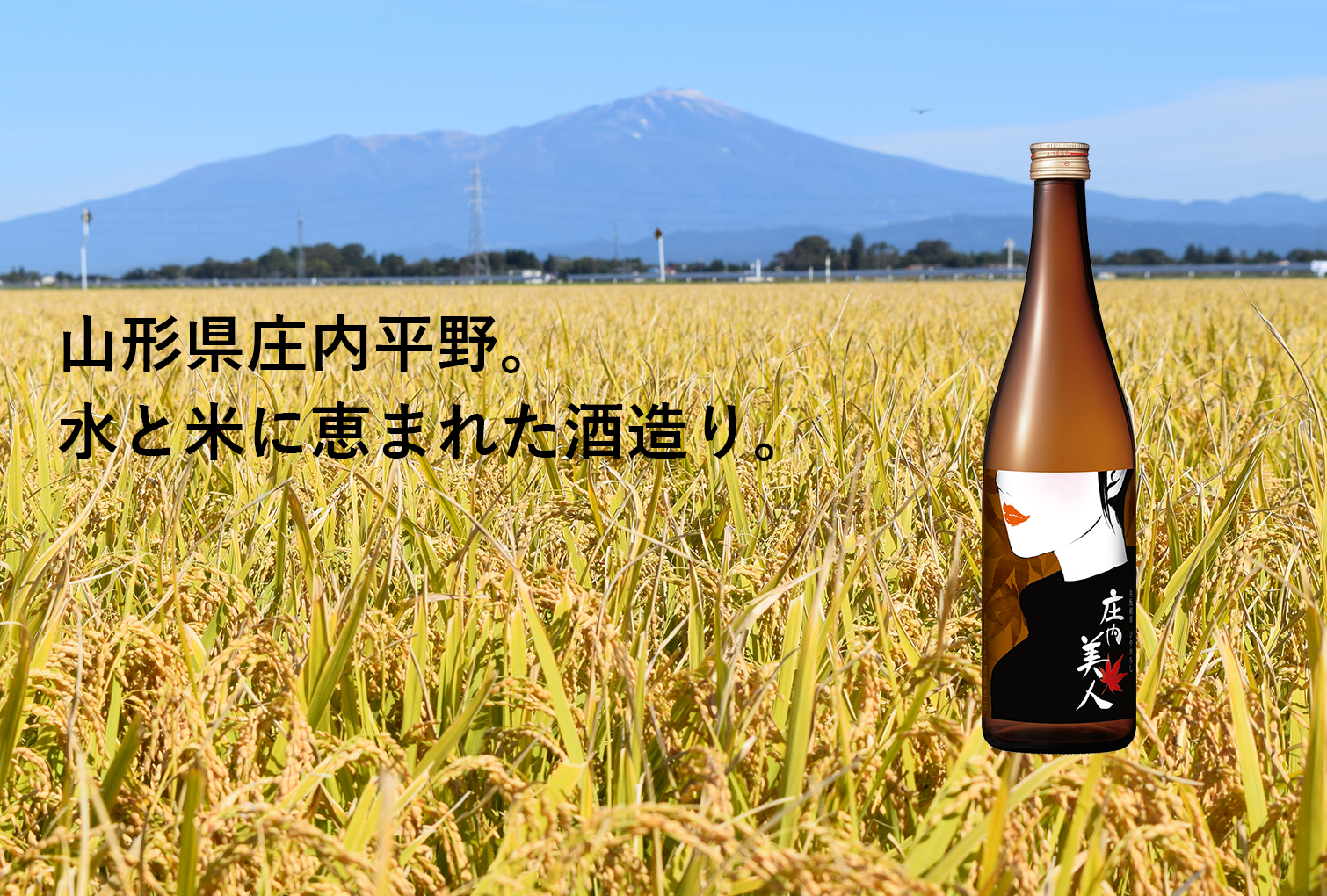 山形県庄内平野 水と米に恵まれた米づくり